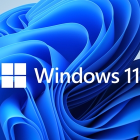 Microsoft Windows 11 Pro 64Bit English 1pk DSP...