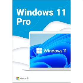 Microsoft Windows Pro 11 64-bit Eng Intl USB R...
